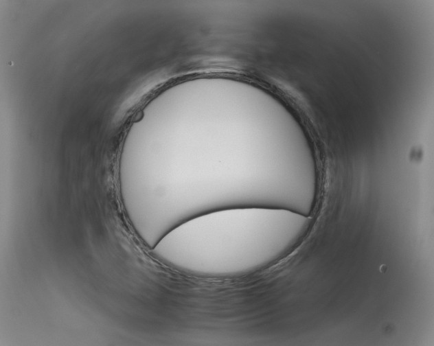 X0000115541407200911061140