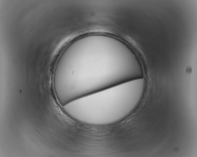 X0000115541408200911061140