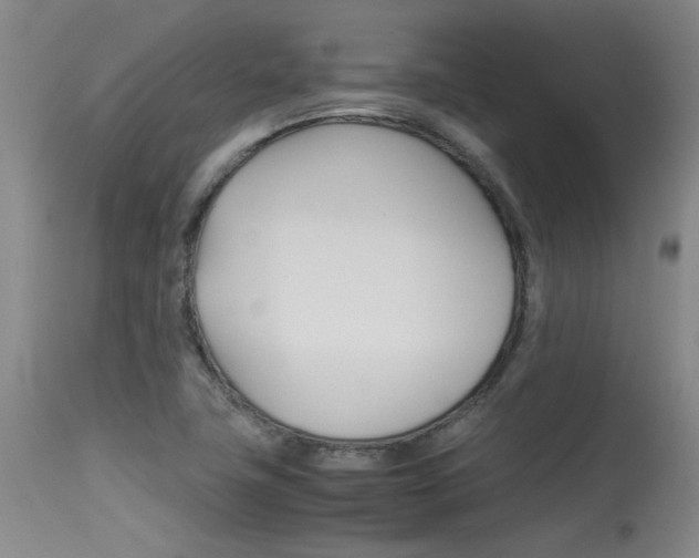 X0000115541411200911061140