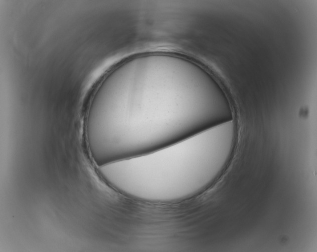X0000115541414200911061140