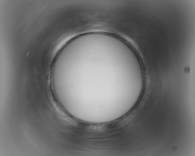 X0000115541415200911061140