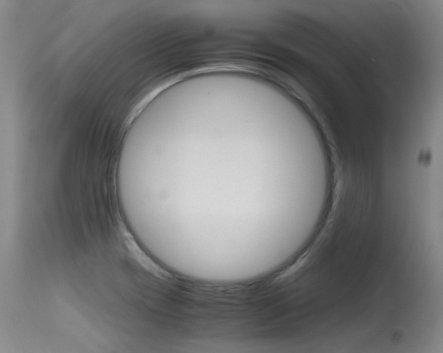 X0000115541417200911061140