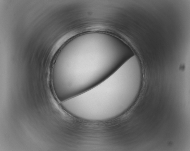 X0000115541418200911061140