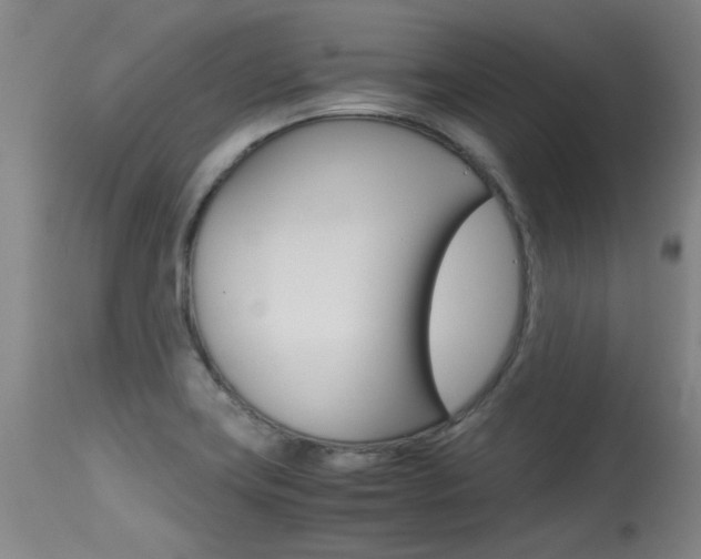 X0000115541419200911061140