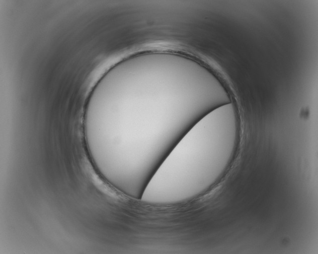 X0000115541421200911061140