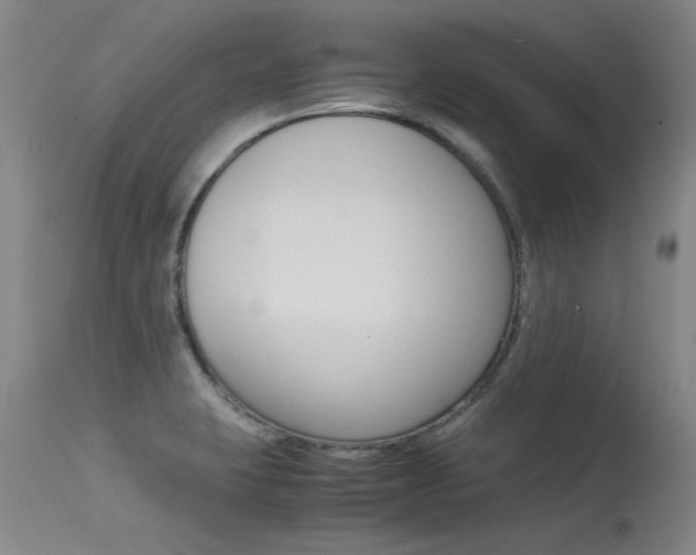 X0000115541423200911061140