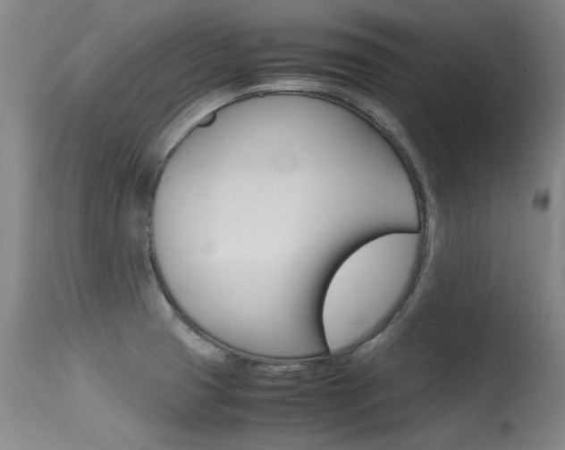 X0000115541425200911061140