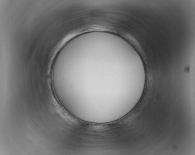X0000115541427200911061140