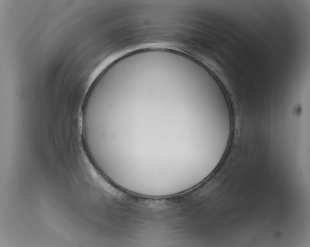 X0000115541428200911061140