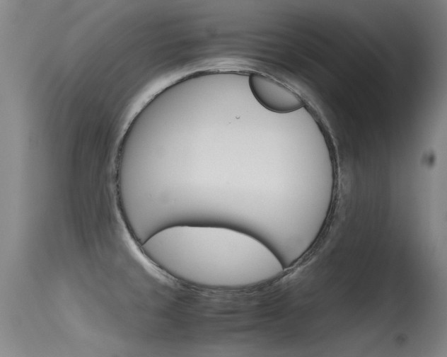 X0000115541429200911061140