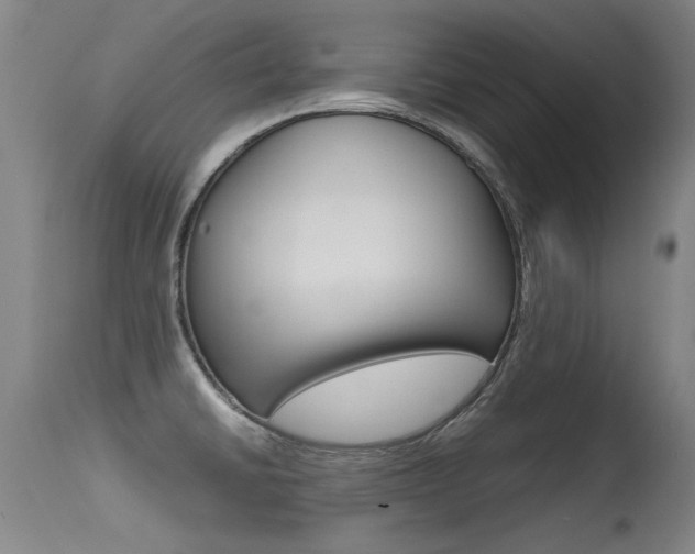 X0000115541430200911061140