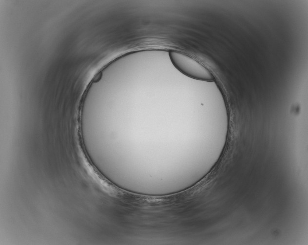 X0000115541431200911061140