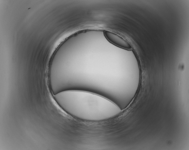 X0000115541432200911061140