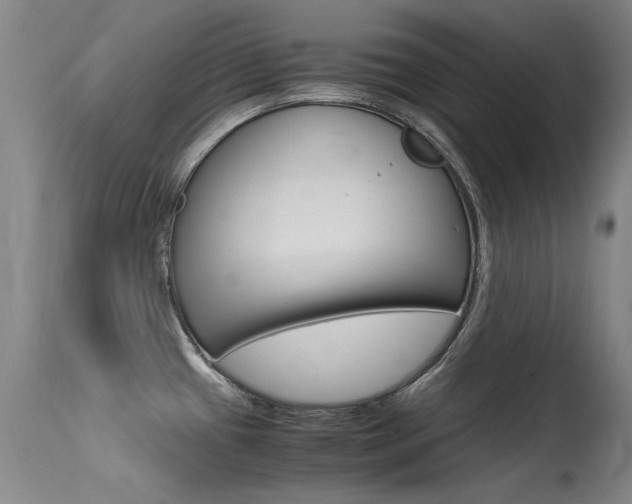 X0000115541433200911061140