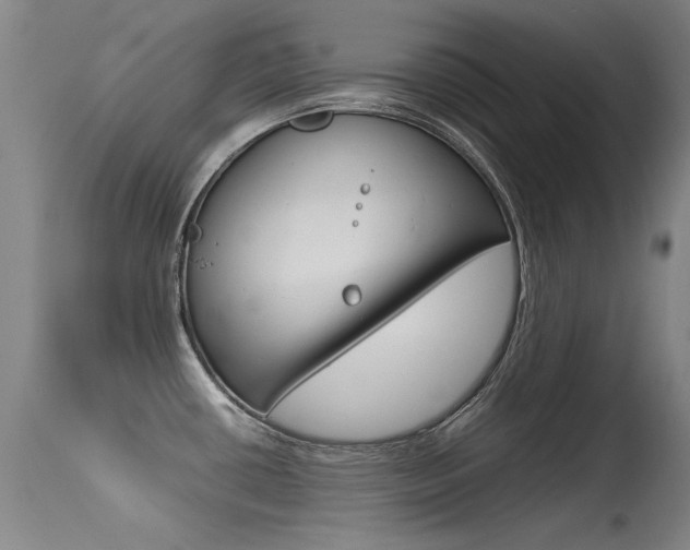 X0000115541434200911061140