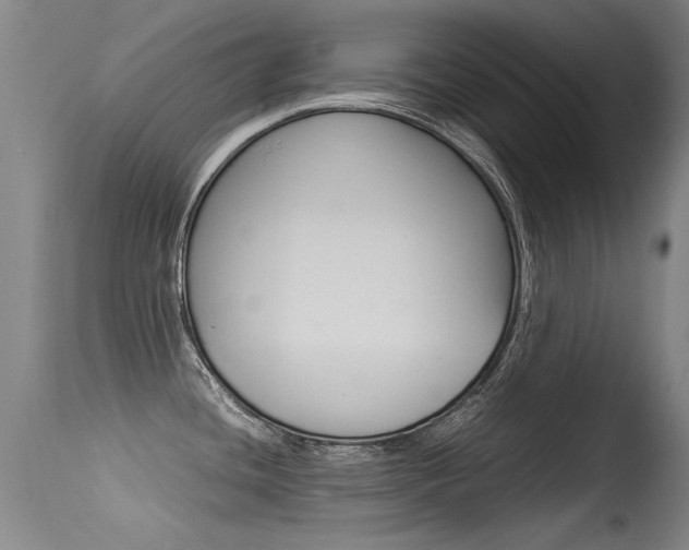 X0000115541436200911061140
