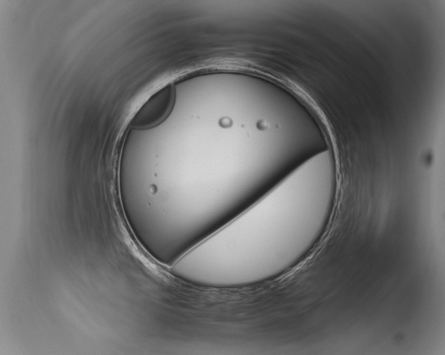 X0000115541437200911061140