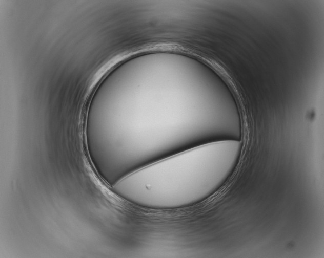 X0000115541438200911061140