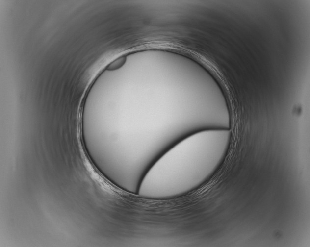 X0000115541439200911061140