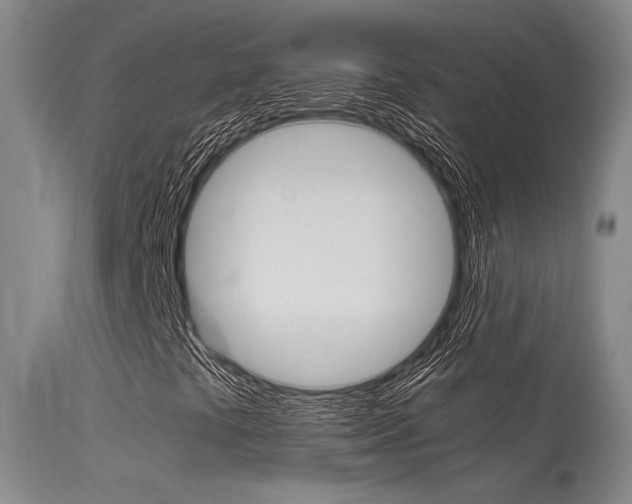 X0000115541441200911061140