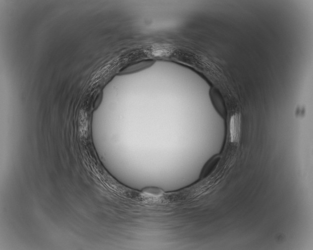 X0000115541443200911061140