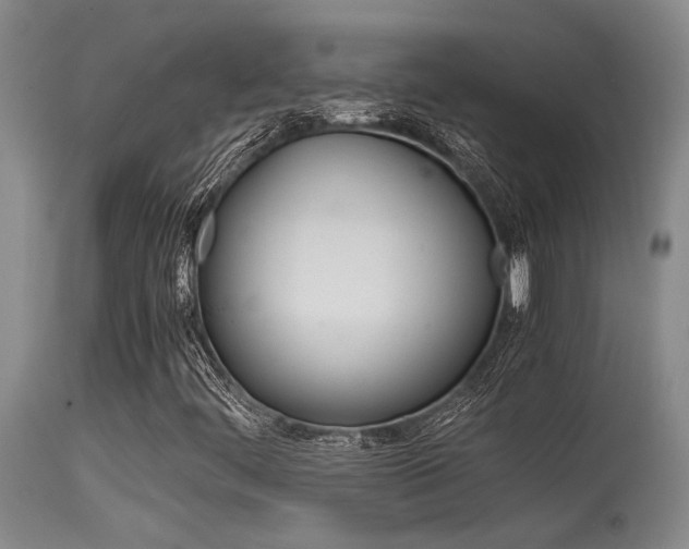 X0000115541444200911061140