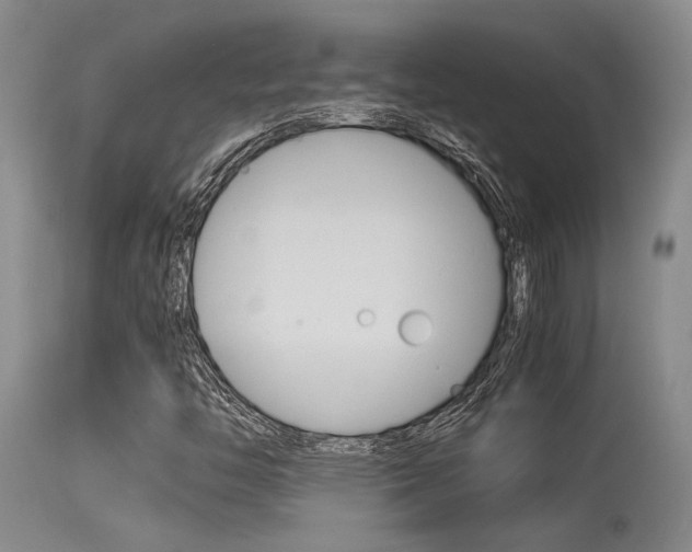 X0000115541446200911061140