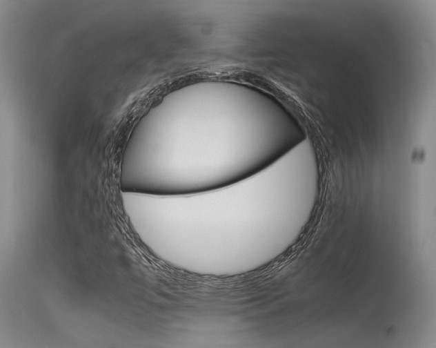 X0000115541447200911061140