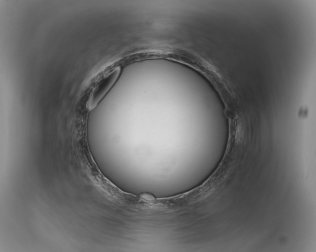 X0000115541448200911061140