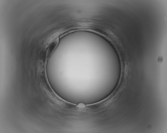 X0000115541449200911061139
