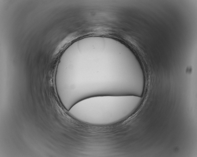 X0000115541451200911061139