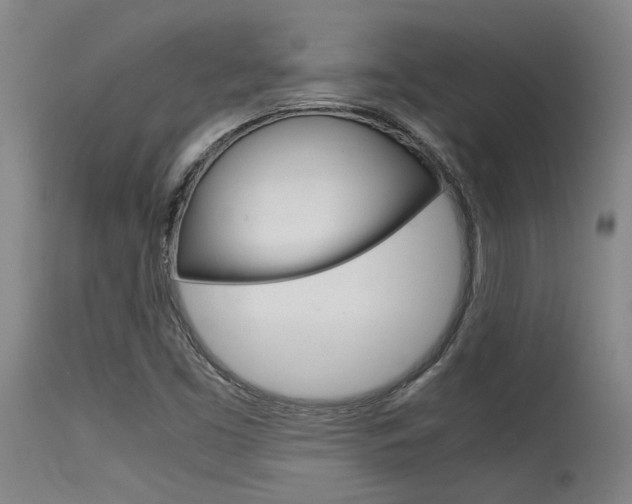 X0000115541453200911061139