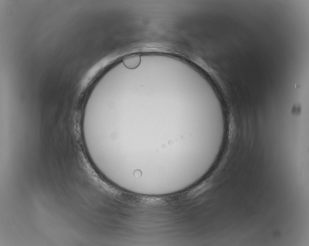 X0000115541454200911061139