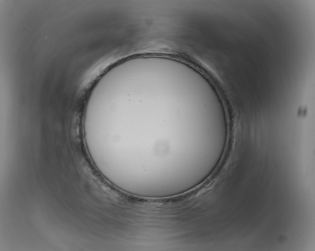 X0000115541455200911061139