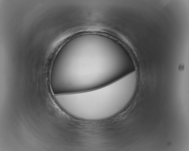 X0000115541456200911061139