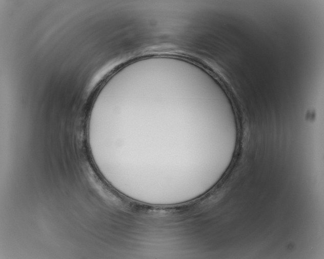 X0000115541458200911061139
