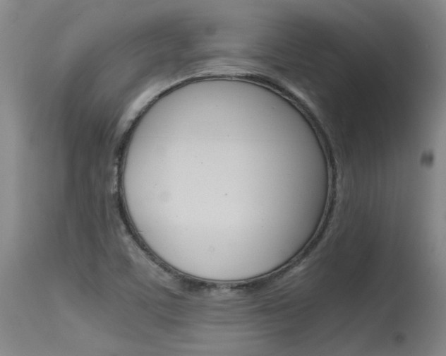 X0000115541459200911061139