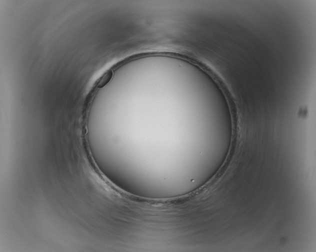X0000115541460200911061139