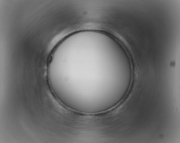 X0000115541461200911061139