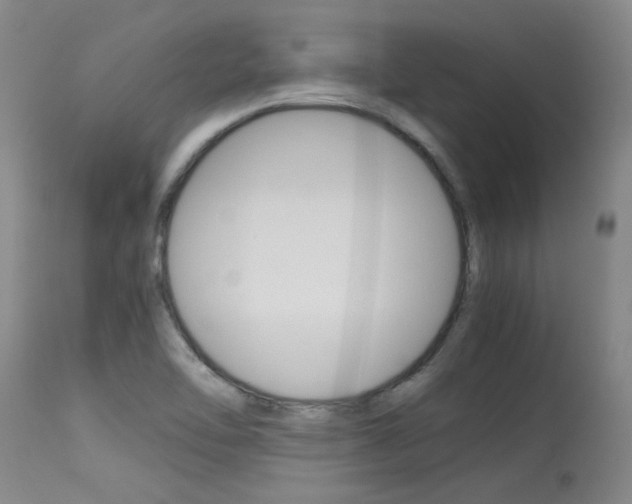 X0000115541462200911061139