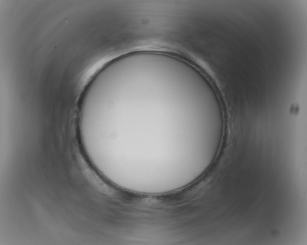 X0000115541463200911061139