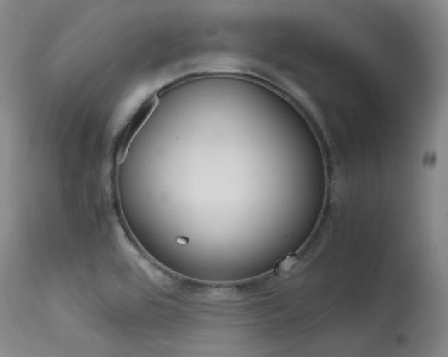 X0000115541464200911061139