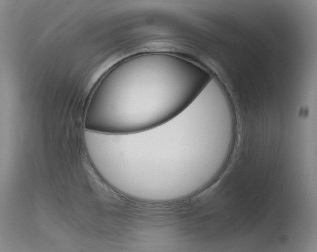 X0000115541465200911061139