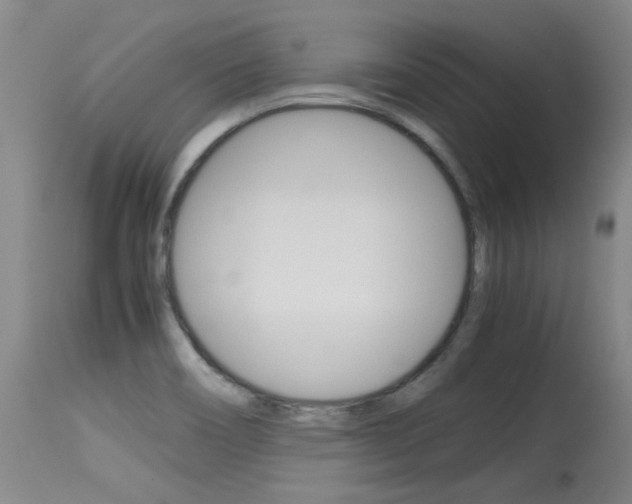 X0000115541466200911061139
