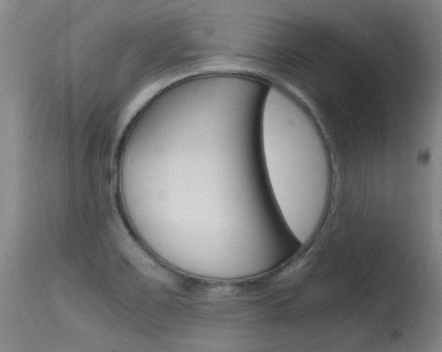 X0000115541467200911061139