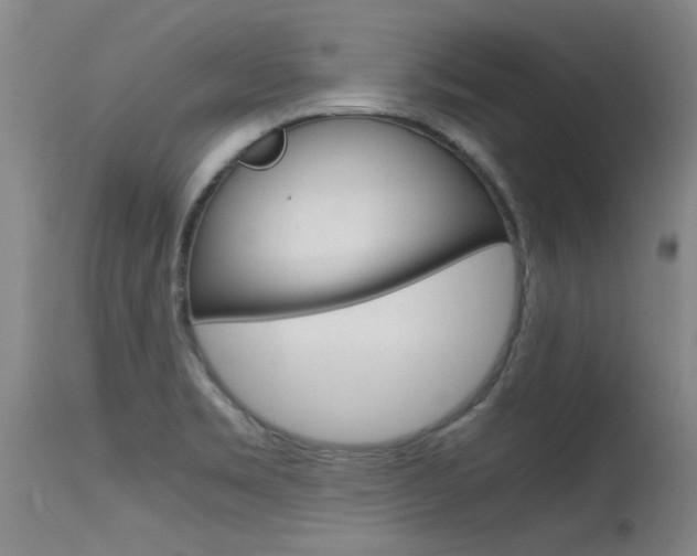 X0000115541469200911061139