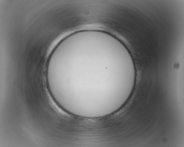 X0000115541470200911061139