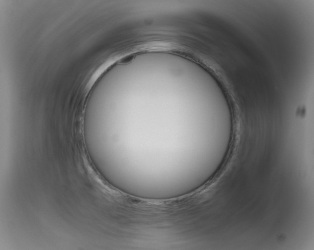 X0000115541473200911061139