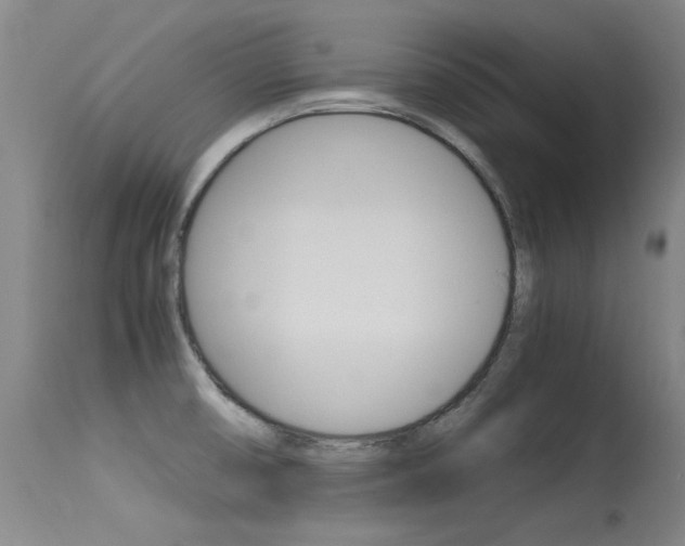 X0000115541474200911061139