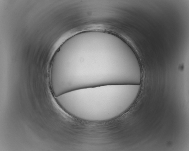 X0000115541475200911061139